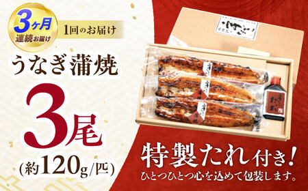 【3回定期便】北御門うなぎ蒲焼3尾入 / 特上 うなぎ 鰻 ウナギ 蒲焼 蒲焼き かばやき うな重 ひつまぶし 冷凍/ 諫早市 / 諫早観光物産　コンベンション協会 [AHAB016]