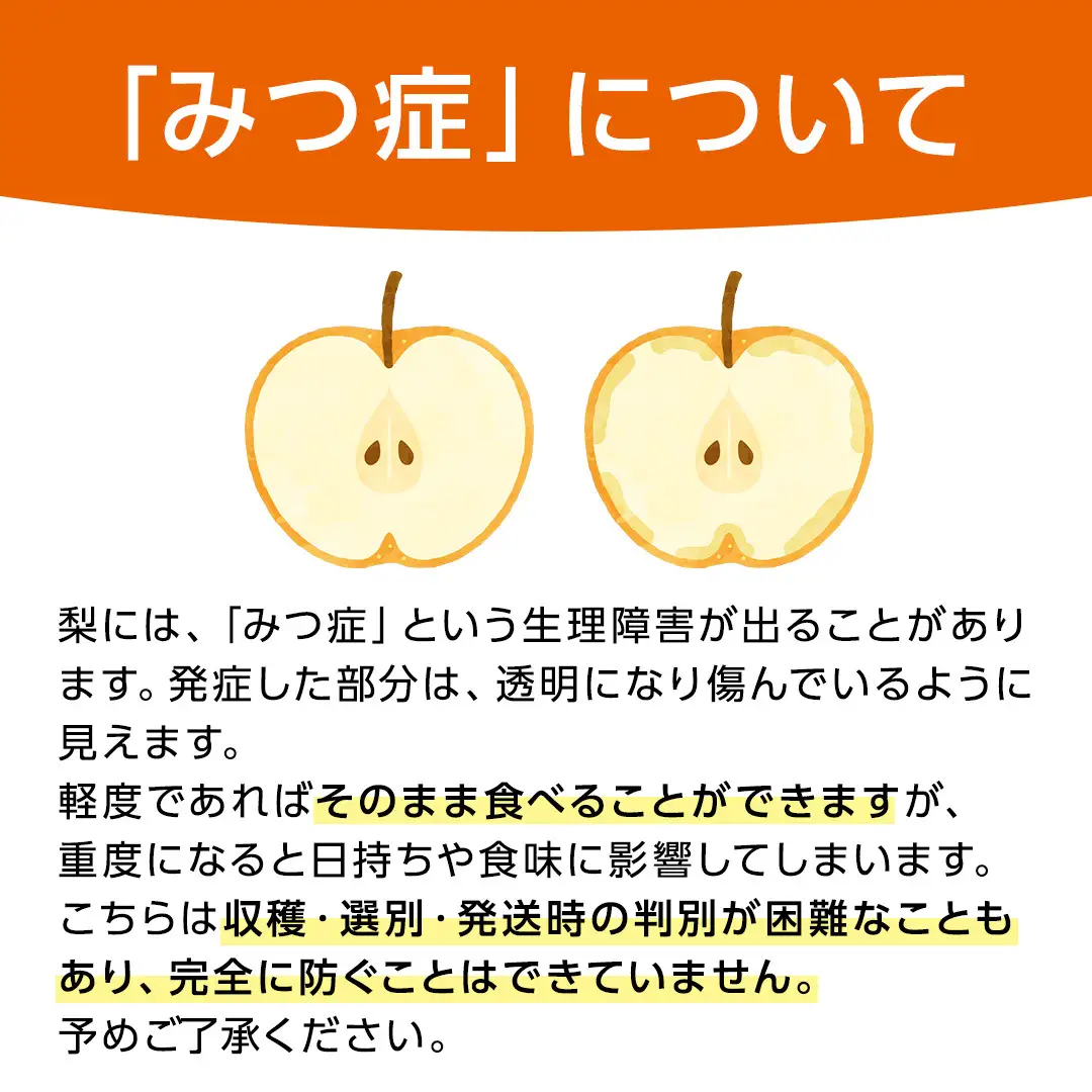 王秋梨 約3kg 4玉～6玉 (茨城県共通返礼品:城里町) 2026年 梨 なし 和梨 フルーツ 甘い お正月 クリスマス 大玉 直送 茨城 限定 [CO009sa]
