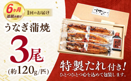【6回定期便】北御門うなぎ蒲焼3尾入 / 特上 うなぎ 鰻 蒲焼 ウナギ / 諫早市 / 諫早観光物産　コンベンション協会 [AHAB019]