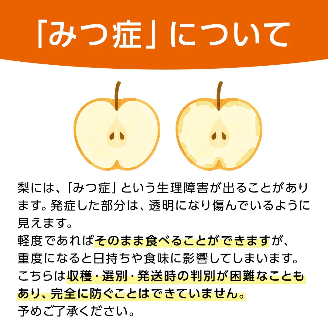 恵水梨 約3kg 4玉～6玉 (茨城県共通返礼品:城里町) 2026年 梨 なし 和梨 フルーツ 甘い オリジナル 大玉 直送 茨城 限定 [CO004sa]