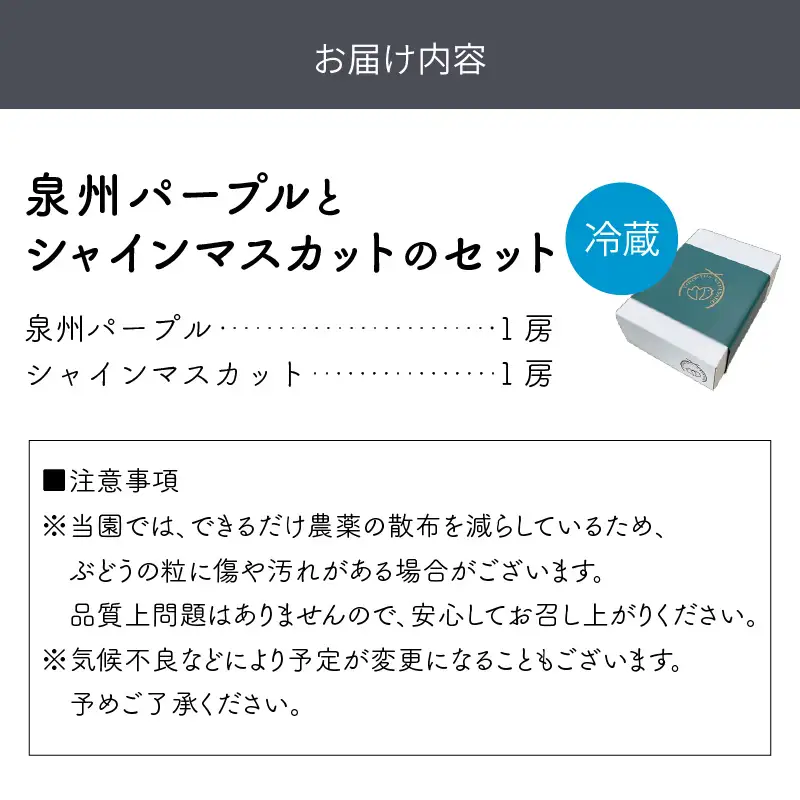 泉州ぶどう　泉州パープルとシャインマスカットのセット【065D-016】