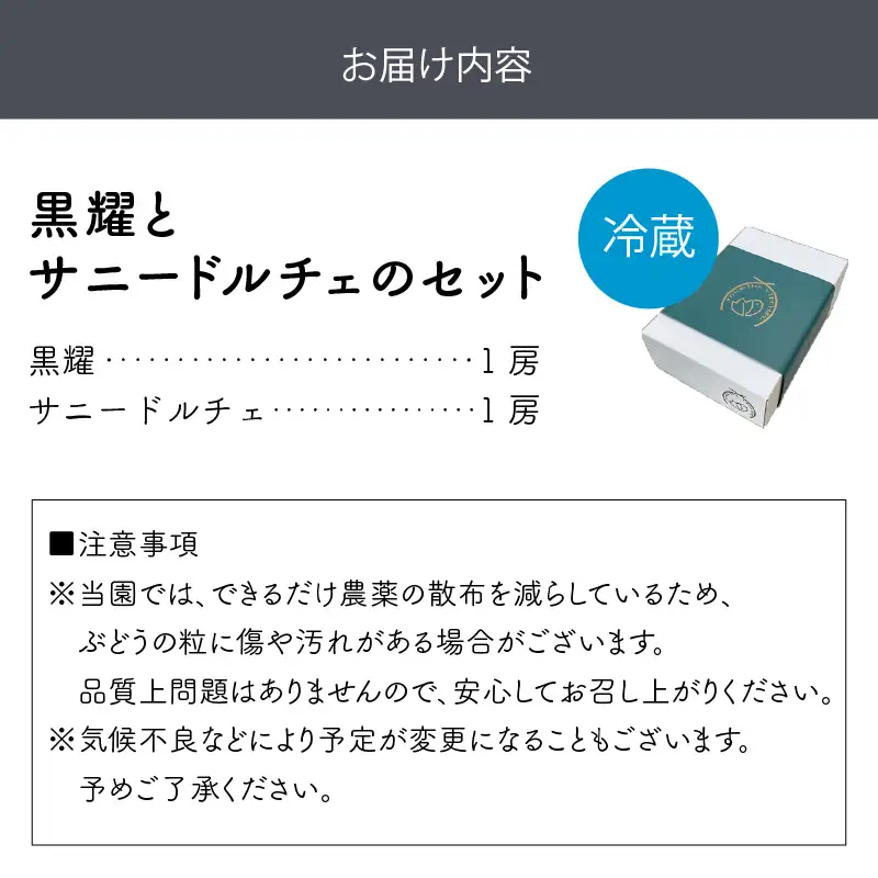 泉州ぶどう 黒耀とサニードルチェのセット【065D-014】