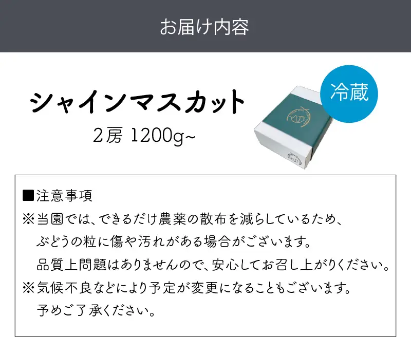 泉州ぶどう シャインマスカット 2房【065D-015】