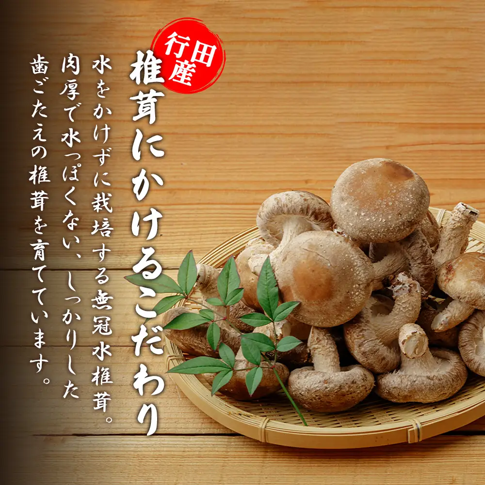 行田産こだわり生椎茸 約1.04kg No.004