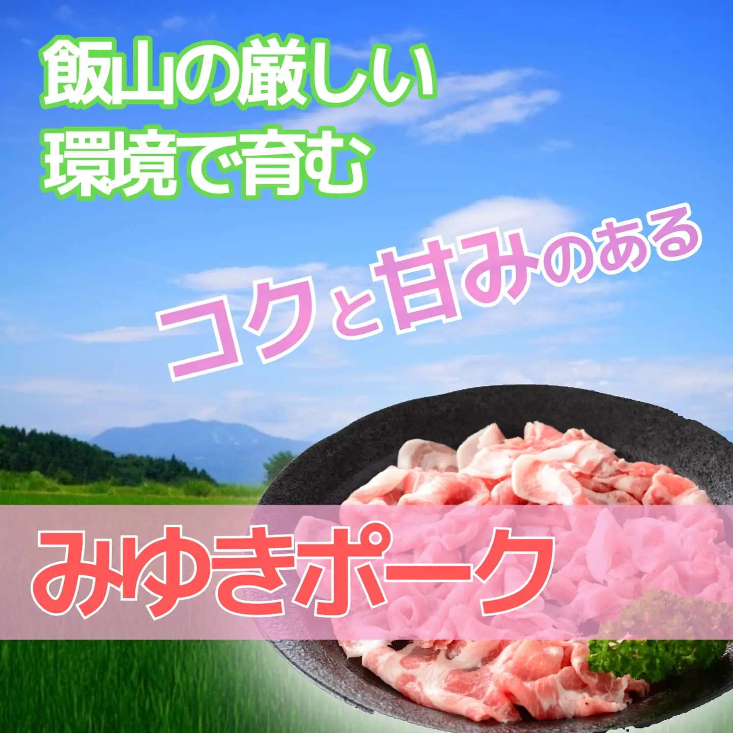 みゆきポーク 肩ロース 味噌漬け （Bo-004） 