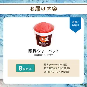 限界シャーベット　8個セット J06005
