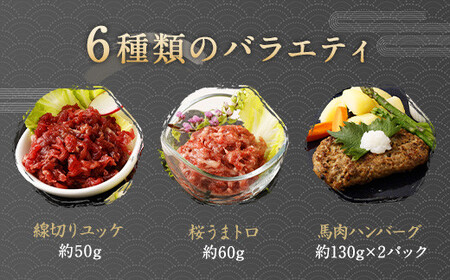 馬肉 6種 バラエティ 約520g タレ付き 馬刺し