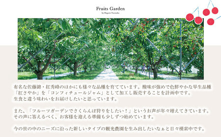 【令和8年産】フルーツガーデンのさくらんぼ 〈紅秀峰〉 バラ詰め L～2Lサイズ 1kg（500g×2）　山形県鶴岡市　|  サクランボ チェリー 紅秀峰 果物 くだもの フルーツ 1キロ 甘い 完熟 旬 産地直送 果汁  人気 美味しい 2026年産 お取り寄せ 庄内地方 東北 返礼品 