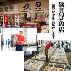 プロが選んだ！旬の鮮魚詰め合わせセット（刺身用２種と塩焼・煮付用下処理済各２匹づつ）日本海・能生漁港直送！新潟県 糸魚川 磯貝鮮魚店