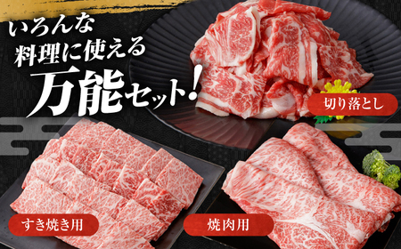 高知から美味しい牛肉詰め合わせ すき焼き 焼肉 切り落とし 総計約2kg 牛肉 すきやき 焼き肉 国産 肉 A4 A5 食べ比べ 【(有)山重食肉】 [ATAP008]