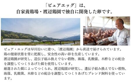 【定期便】やさしい甘みあふれる卵『ピュア・エッグ』30個×６か月お届け 合計180個 コクがあるのにフルーティーな甘さ 糸魚川 新潟 卵 たまご お菓子作り フェルエッグ