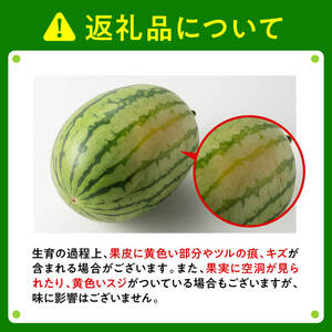 【令和8年産】宮崎県産　小玉スイカ（マダーボール）2玉 【 数量限定 国産 宮崎県産 西瓜 フルーツ 果物 すいか】