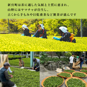 特選　新宮茶セット