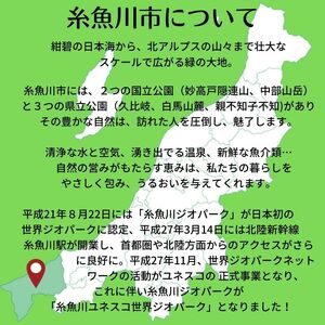 加賀の井＆奴奈姫 720mlx各1本 純米吟醸酒飲み比べセット 糸魚川地酒 新潟県 ビーリフト合同会社 