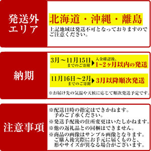 ＜観葉植物＞サンスベリア(7号) (陶器鉢(モダンマット釉(ホワイト))・受け皿付) 観葉植物 植物 インテリア 開店祝い 移転祝い おしゃれ 室内 ギフト プレゼント オフィス 陶器鉢 受け皿 玄関 小型個性【m24-16-B】【アイエヌエー】