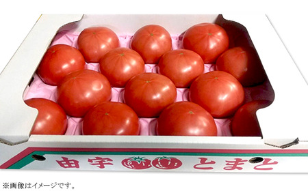山口県産「由宇とまと」約4kg【おかざき農園】
