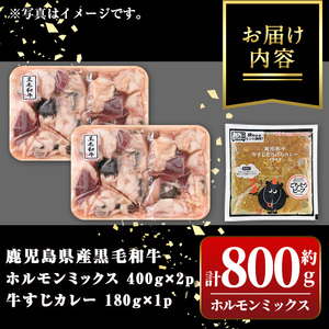 【A91031】黒毛和牛ホルモンミックス(計800g)＋黒毛和牛牛すじだらけのカレー(1袋)セット！ 鹿児島 国産 牛肉 黒毛和牛 牛肉専門店 和牛日本一 惣菜 おかず 牛すじ ホルモン ミックス レトルトカレー ご当地カレー【新村畜産】