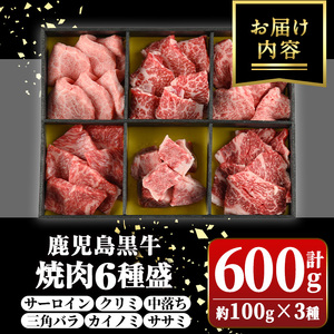 【B01033】鹿児島黒牛 食べ比べ焼肉6種盛(計約600g・各100g×6種) 牛肉専門店自慢のお肉 鹿児島 国産 九州産 牛肉 黒牛 鹿児島黒牛 A4 A5 等級 サーロイン 三角バラ 中落ち カイノミ クリミ ササミ 焼肉 やきにく バラエティ セット ギフト 贈答【新村畜産】