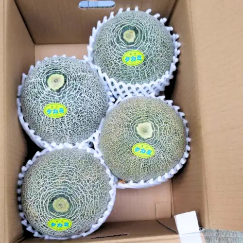 【先行予約】メロン タカミメロン 秀品 1箱 3～4玉 八千代町産