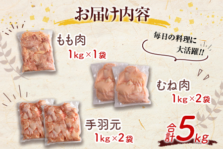 宮崎県産鶏肉 スペシャル鶏三昧セット 合計5kg【B607-2505】
