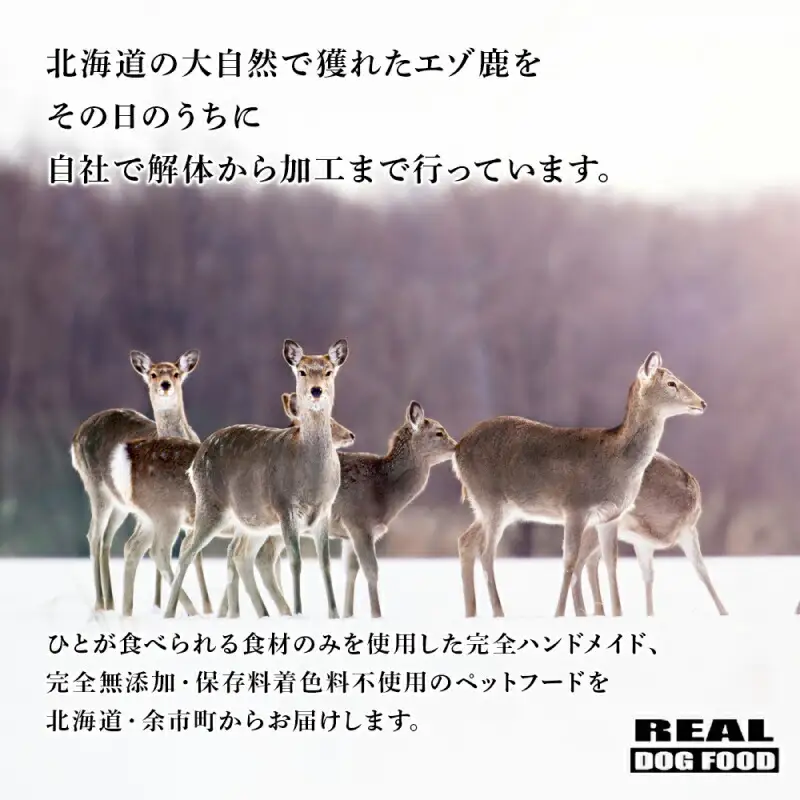 ペット用 エゾ鹿挽き肉 200ｇ×5袋≪REAL DOG FOOD≫_Y020-0631
