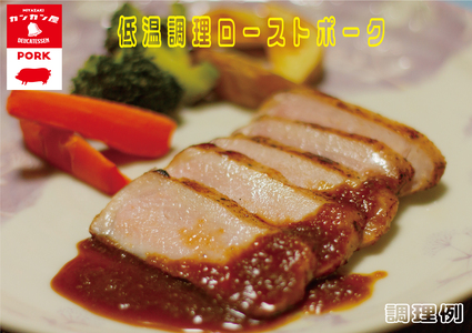 低温調理 ローストポーク 200g×5 計1kg [カンカンヤLab 宮崎県 日向市 452060635]