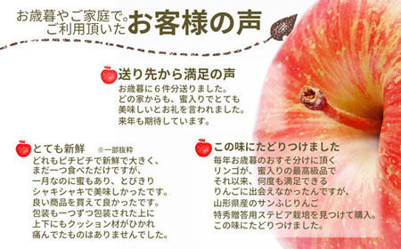サンふじりんご 3kg (10～12玉) 山形県産 ギフト箱入り 《先行予約 2026年11月中旬から発送開始》 りんご リンゴ 林檎 デザート フルーツ 果物 くだもの 果実 食品 山形県 FSY-0617