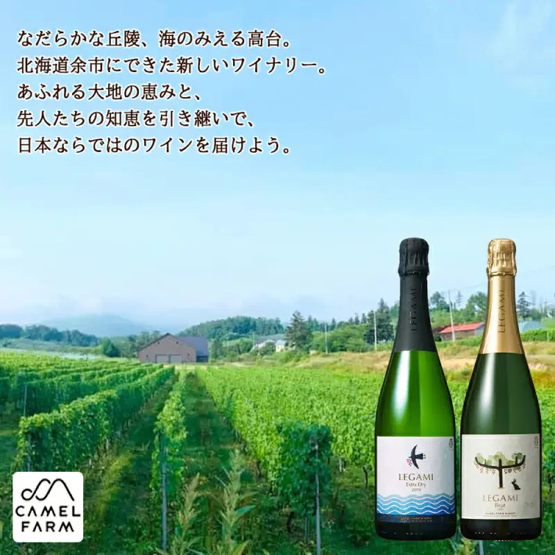【ワインが選べる！】余市産ぶどう使用 シャンプー＆ボディウォッシュ＋ワインセット《リノ クロノシャルム》_Y020-0284