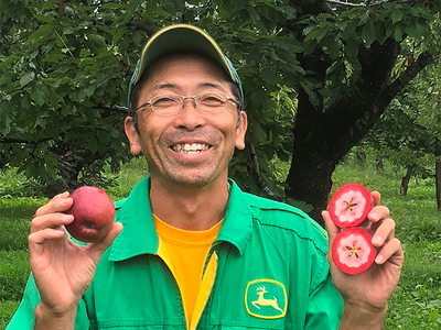 風丸農場 赤いりんごと完熟紅玉りんごのジュース 無添加 青森県産 180ml各4本 計8本セット 