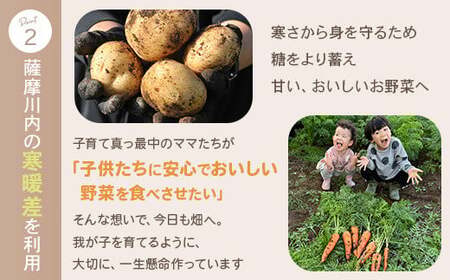 ZS-715 【訳あり】【数量限定】ママたちの想いをギュッ！薩摩で育ったほくほくじゃがいも（ニシユタカ） 10kg