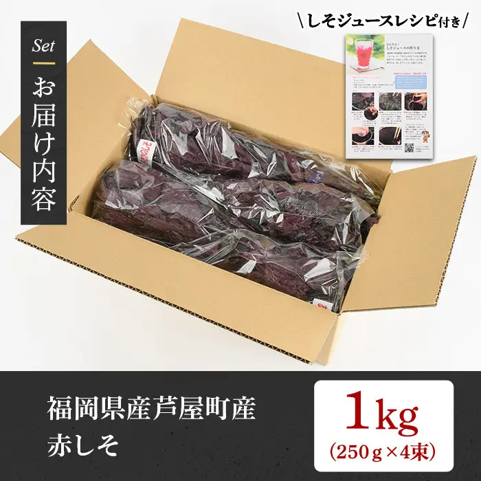 ＜先行予約受付中！2026年6月上旬より順次発送予定＞ 福岡県芦屋町特産 赤しそ (計1kg・250g×4束) 紫蘇 シソ あかしそ 赤しそ 芦屋町産 しそジュース 葉 手作り 手づくり 野菜 やさい 生鮮品 【朝ごはん本舗】as05-066