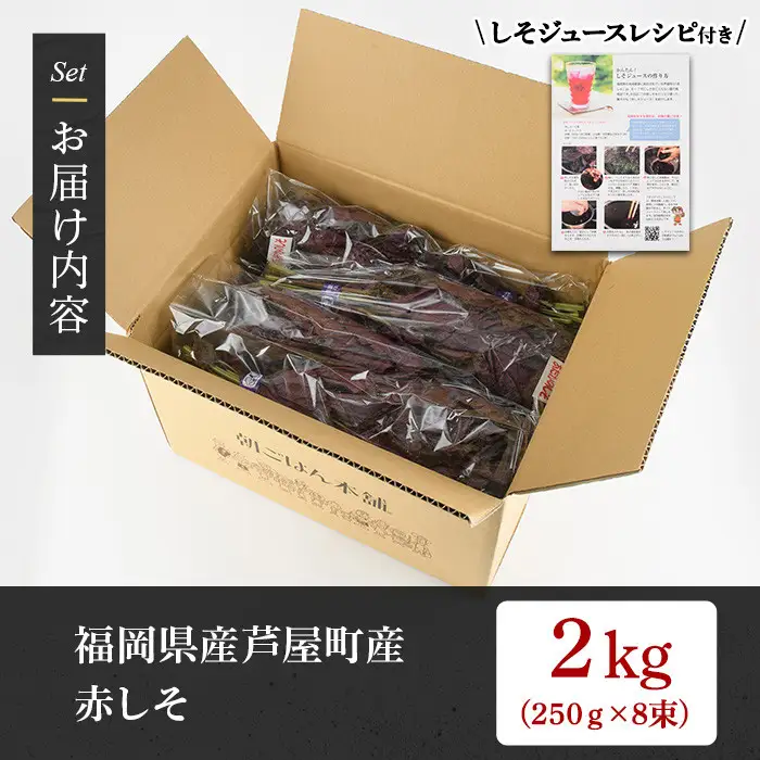 ＜先行予約受付中！2026年6月上旬より順次発送予定＞ 福岡県芦屋町特産 赤しそ (計2kg・250g×8束) 紫蘇 シソ あかしそ 赤しそ 芦屋町産 しそジュース 葉 手作り 手づくり 野菜 やさい 生鮮品 【朝ごはん本舗】as05-067
