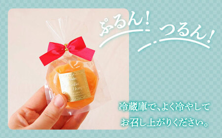 【2026年5月上旬-発送】【夏季限定】茂木びわ ゼリー 5個入 / びわ ビワ ゼリー フルーツ 果物 ギフト 贈答 お中元 / 南島原市 / 本田屋かすてら本舗 [SAW039]