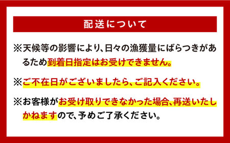 朝どれ 鮮魚 詰め合わせ 3種（2-3人前） 下処理 あり / アジ アラカブ タイ カワハギ など  魚 新鮮 セット 冷蔵 産地直送 下処理済み / 南島原市 / 美吉屋 [SDW003]