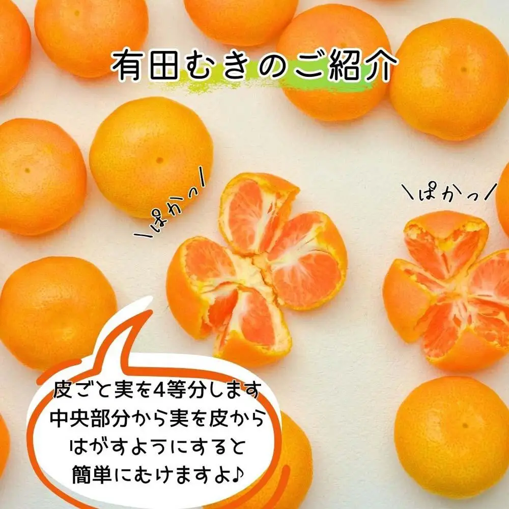 【5月出荷予定】ハウスみかん 温室栽培 夏の有田みかん 2kg 秀品 S・M・Lサイズのいずれか  和歌山県 産地直送 みかんの会