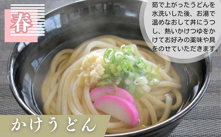 【年4回定期便】さぬきうどん 半生 （30人前）3人前×10袋  麺類 半生うどん コシ 香川県産 和食 お昼ごはん ランチ 夕飯 さっぱり 
