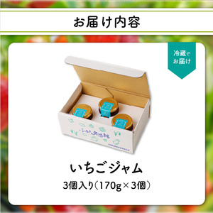 いちごジャム3瓶セット（いちごさん）／ いちごジャム【A146】