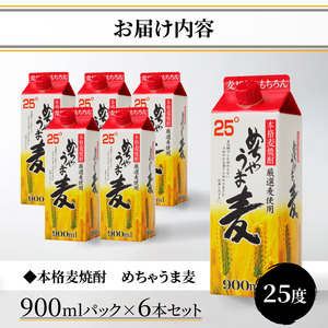 本格麦焼酎 めちゃうま麦25度900mlパック×6本セット_【福岡県酒類鑑評会】 5年連続金賞酒 【TWSC2021】 本格焼酎部門 銀賞 本格 麦焼酎 めちゃうま麦 25度 900ml パック × 6本 セット 厳選 麦 鷹正宗株式会社 福岡県 久留米市 お取り寄せ 焼酎 お酒 酒 アルコール 送料無料 〔El023〕