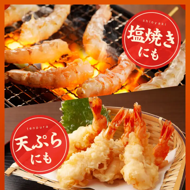 ＼えび三昧／天然えび 串 30本 約750g 訳あり サイズ不揃い 背ワタなし