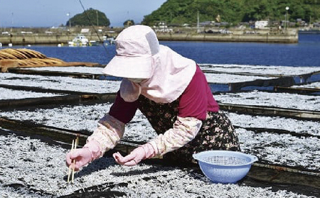 特選 ちりめん すくいちりめん 75g×5袋 計375g 愛媛県漁業協同組合宇和島支所 じゃこ ちりめんじゃこ しらす しらす干し ちりめん干し 冷蔵 人気 おつまみ 加工品 水産品 ふりかけ 弁当 おにぎり カタクチイワシ イワシ 産地直送 国産 愛媛 宇和島 D018-027004