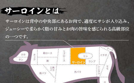 【やわらかな赤身と口どけまろやかな脂身】長崎和牛 サーロインステーキ 400g 2人前 （200g×2枚）/ 南島原市 / ふるさと企画 [SBA031] ステーキ すてーき サーロイン さーろいん サーロインステーキ さーろいんすてーき 和牛 わぎゅう 焼肉 焼き肉 BBQ バーベキュー 牛肉 ぎゅうにく 20000 20000円 2万円