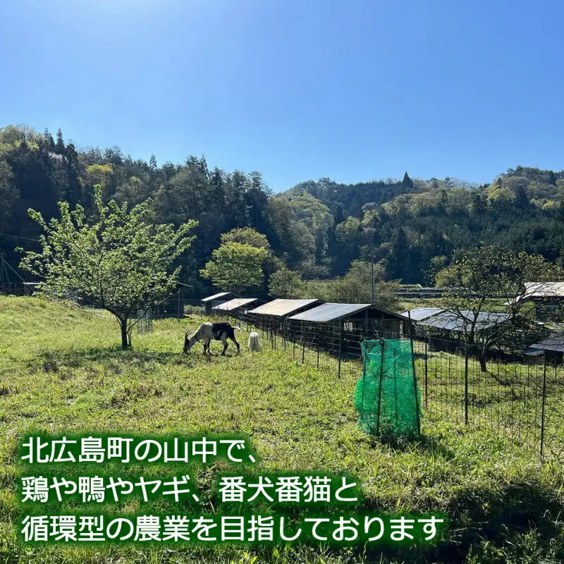 ふぁーむbuffoの平飼いたまご 30個_FA090_001