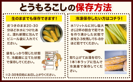 【先行予約】朝採りとうもろこし スーパースィート 「ゴールドラッシュ」 訳あり ご家庭用 12本 嶋崎農園 《2026年8月上旬-9月上旬頃出荷》