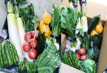  【山田青果店】旬の野菜＆フルーツ [0015-0057]