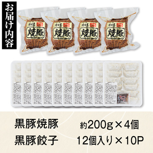 【B02104】ふるさと2選B 焼豚(約200g×4個・計800g)と餃子(12個入×10パック・計120個)のセット 鹿児島 国産 九州産 黒豚 豚肉 お肉 焼豚 餃子 冷凍 おかず ギフト 贈答 特別な日に【和田養豚】
