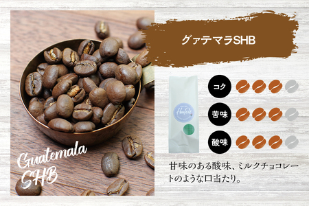 【中挽き】（ブレンド3+グァテマラ2）挽き立てコーヒー豆 750gセット コーヒー豆 焙煎 コーヒー【hgo001A-b-07】
