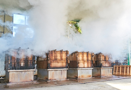 【さいぶのひじき】房州ひじき食べくらべセット 長ひじき・芽ひじき 各２袋　レシピ集付き！　[0010-0132]