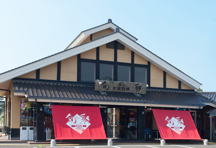 【鴨川の銘菓がプチサイズに！】ぷち鯛せんべい ９箱セット [0014-0018]