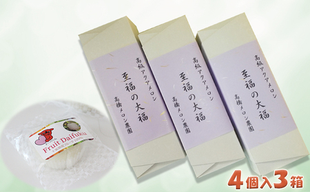 【贅沢メロンをひと口で】千葉アクアメロン フルーツ大福 12個（4個入3箱）／マスクメロン 個包装 冷凍 スイーツ 和菓子　[高橋メロン農園][0010-0243]