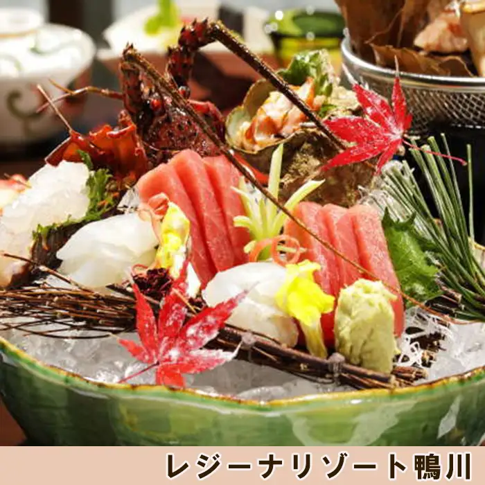 【亀田クリニック Dock&Dog】アドバンストプラン　１名様（平日限定１泊２食付） 　[0647-0001]